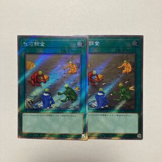 化石調査 EXSE JP054