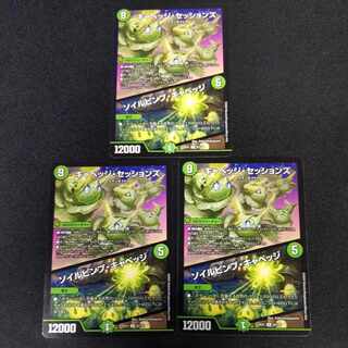 キャベッジ・セッションズ｜ソイルピンプ・キャベッジ R 52/130