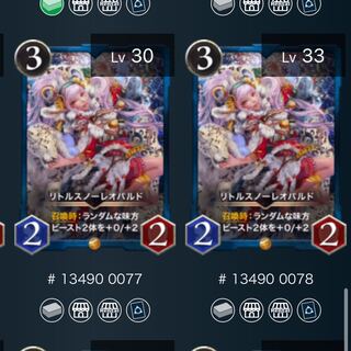 リトルスノーレオパルド　2枚