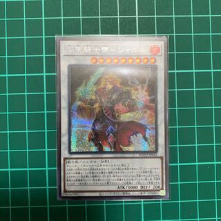 焔聖騎士帝-シャルル　シク1枚