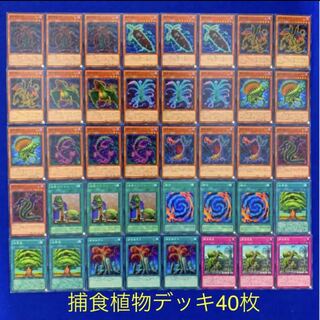 遊戯王カードNo.121捕食植物デッキ40枚