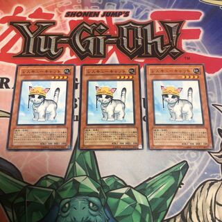 【もふもふ】レスキューキャット