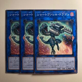 Miniborrel Dragon Close1646