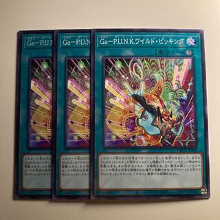 Ga-P.U.N.K.ワイルドピッキング　〆1659