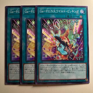 Ga-P.U.N.K.ワイルドピッキング　〆1660