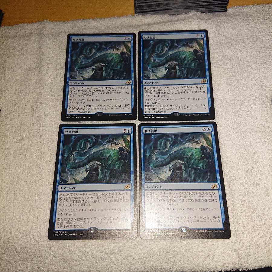 イコリア サメ台風  ×4