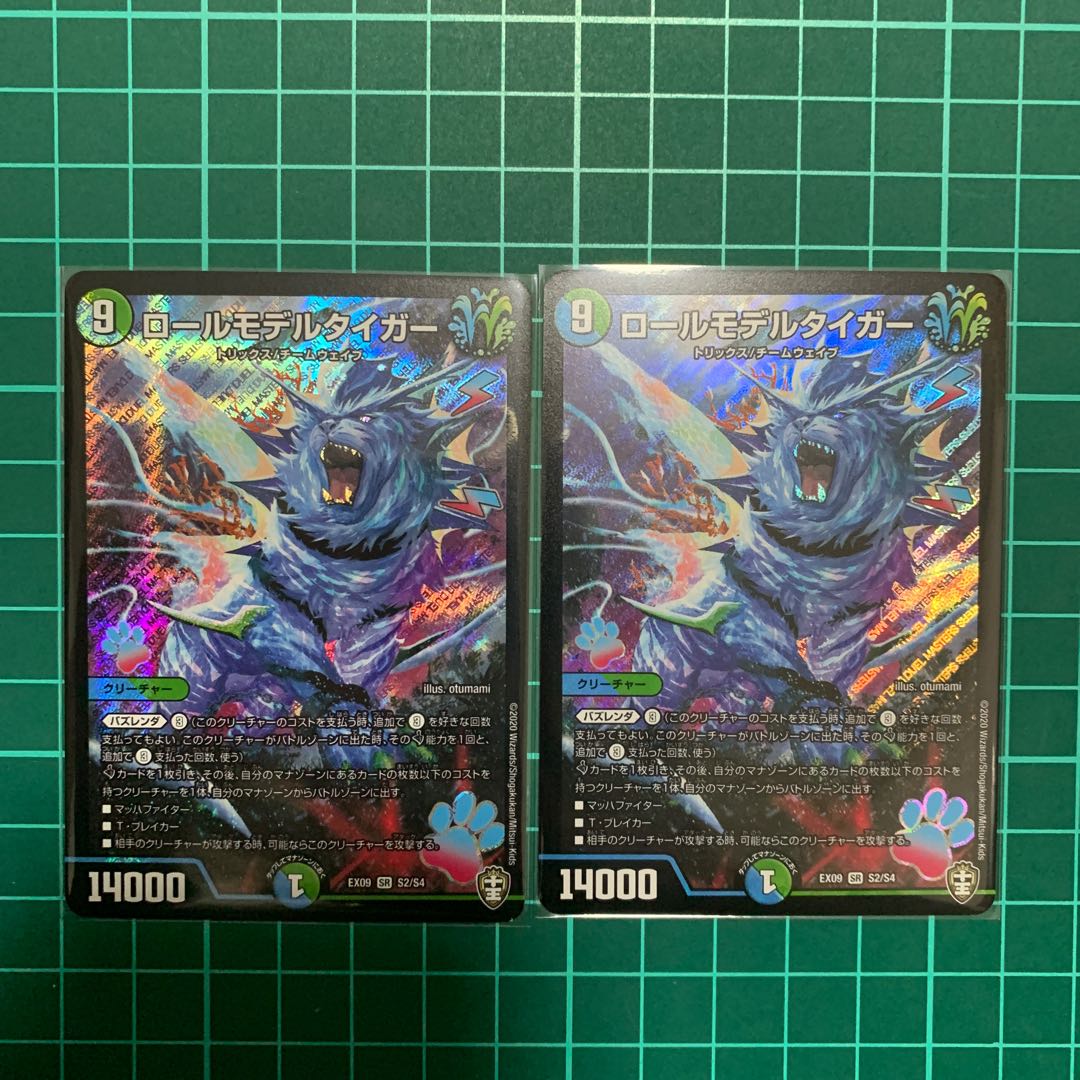 ロールモデルタイガー 2枚