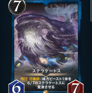 ステラケートス　1枚