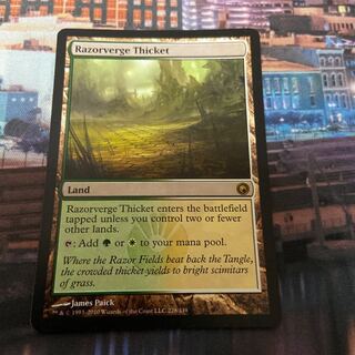 SOM 剃刀境の茂み 英語 1枚