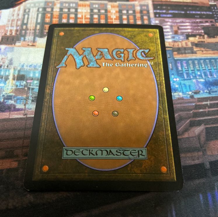 SOM 剃刀境の茂み 英語 1枚