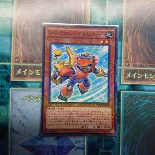 シンクロキャリアー パラ