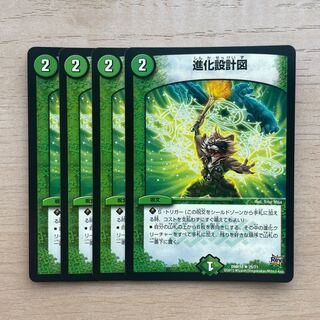 Evolutionary blueprint R 25/71