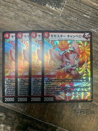 Momostar Canberra VR 5/95