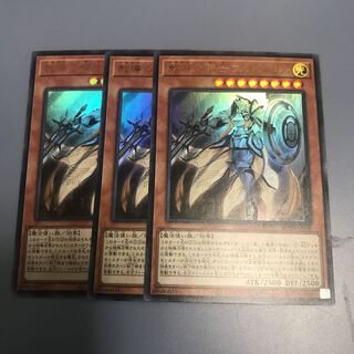 教導の騎士フルルドリス　3枚