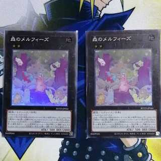 森のメルフィーズ　スーパー　2枚セット