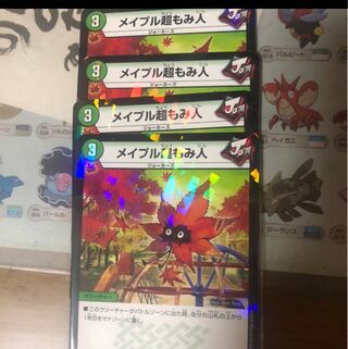 メイプル超もみ人　4枚　SD