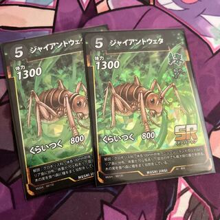 giant weta (Hydrolycus scutellarioides)