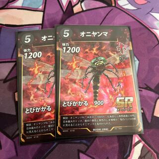 Siebold's dragonfly (Anotogaster sieboldii)