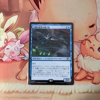 mtg 金属の徒党の種子鮫 4枚セット 金属の徒党の種子鮫について考える - ロダーシャの考察