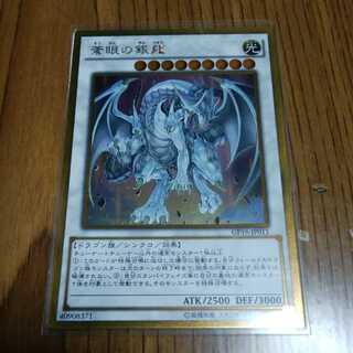 TK_Juwon専用 蒼眼の銀龍