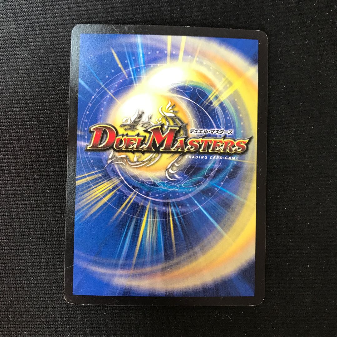 Dragon armored Senghoku Toppa Armor 13/70