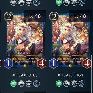 ザンナ　2枚　crymate様専用