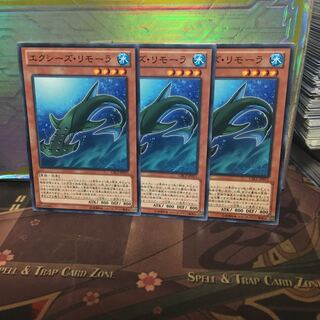 アンコウ エクシーズ・リモーラ 3枚