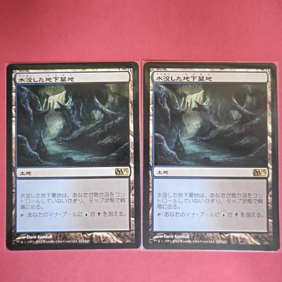 Drowned Catacomb Rare 223/249