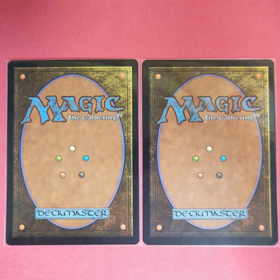 Drowned Catacomb Rare 223/249