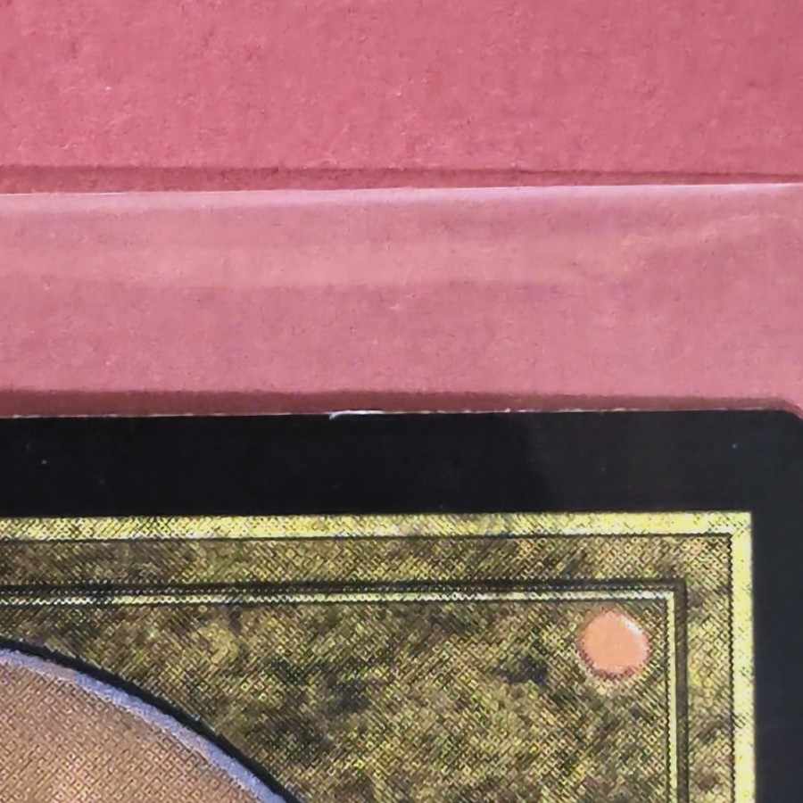 Sunpetal Grove Rare 229/249