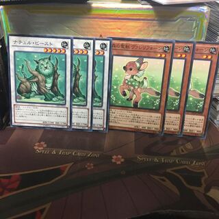 アンコウ ナチュル・ビースト 森の聖獣 ヴァレリフォーン 3枚ずつ