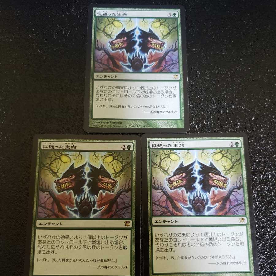 似通った生命　三枚セット