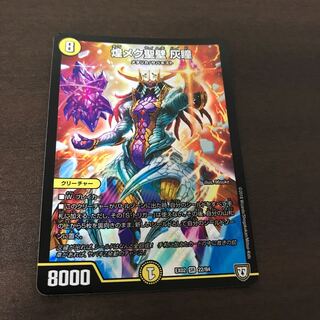 煌メク聖壁 灰瞳