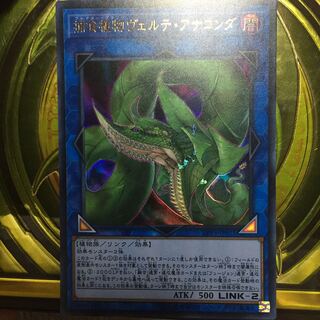 捕食植物ヴェルテ・アナコンダ