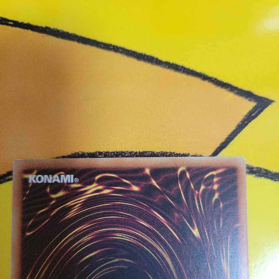 Catapult Turtle Normal JPA08