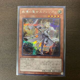 教導の聖女エクレシア　SE