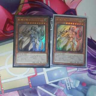 教導の騎士フルルドリス