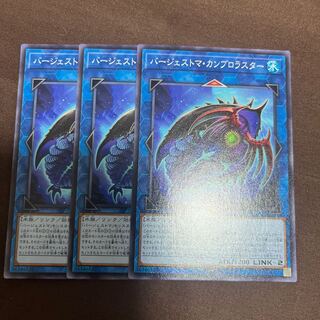 Paleozoic Cambroraster Normal JP047