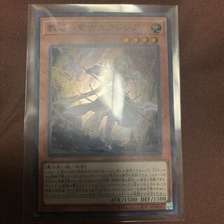 教導の聖女エクレシア　スーパー