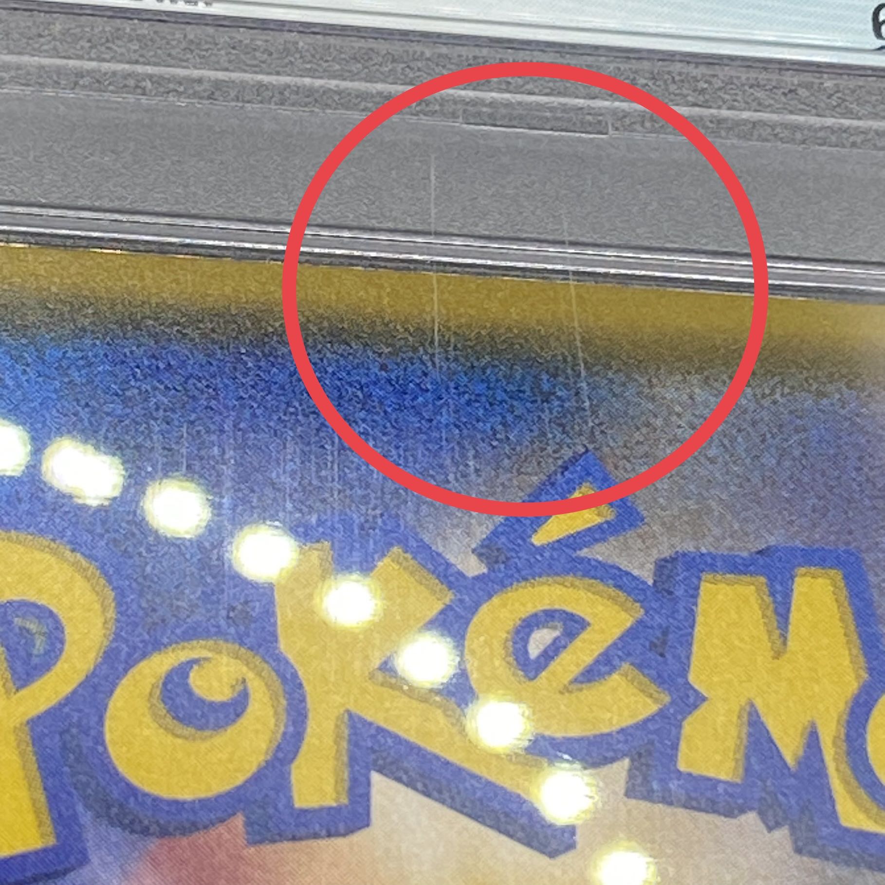 【PSA10】リーリエ SR がんばリーリエ SR 119/114