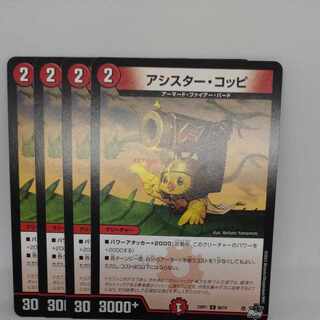 Assister Coppi C 68/74