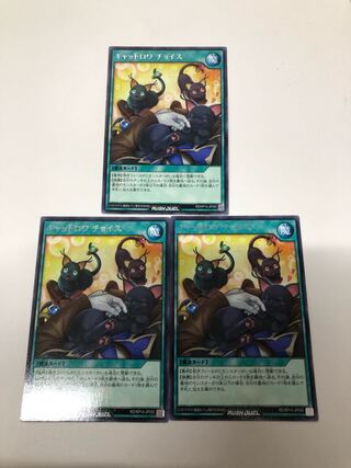 キャットロワチョイス　3枚セット