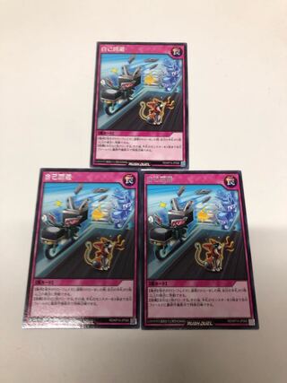 自己回避　3枚セット