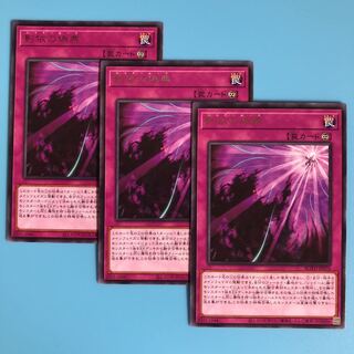 影依の偽典 ×3【 遊戯王 ・プレイ用】字レア