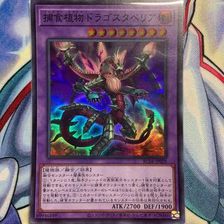 Predaplant Dragostapelia Super Rare JP028