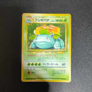 Venusaur Old Back
