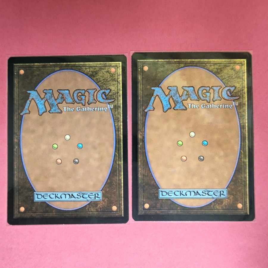 神聖なる泉 レア 241/274 1枚