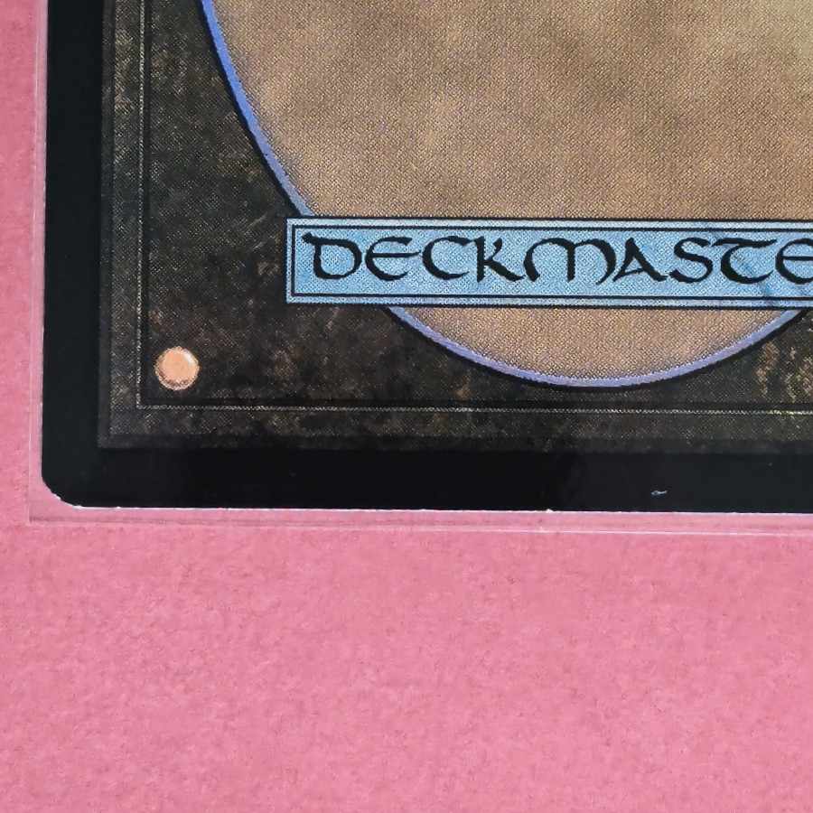 神聖なる泉 レア 241/274 1枚