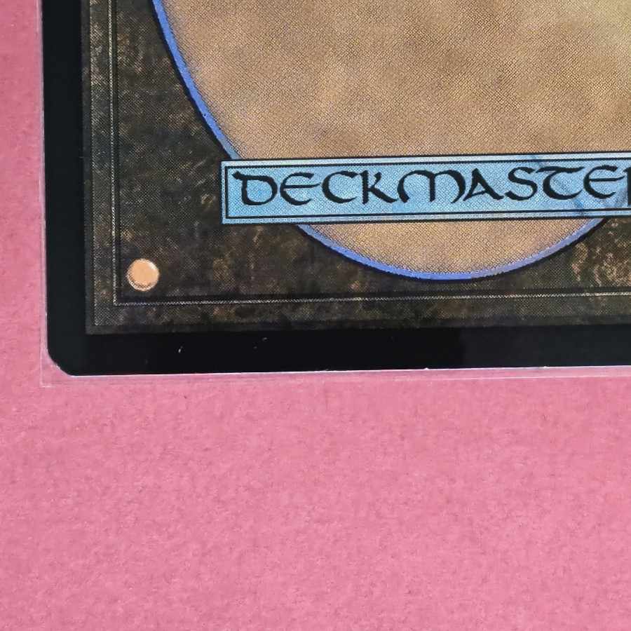 神聖なる泉 レア 241/274 1枚