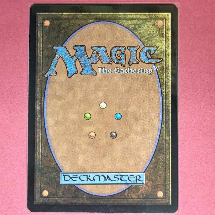 Temple Garden Rare 248/274 1枚